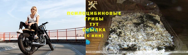 гашик Кинешма