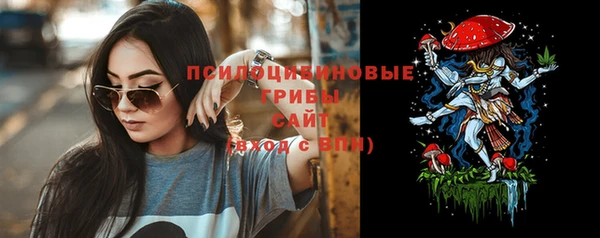 гашик Кинешма