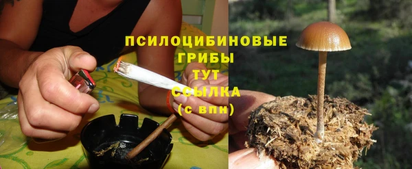 гашик Кинешма