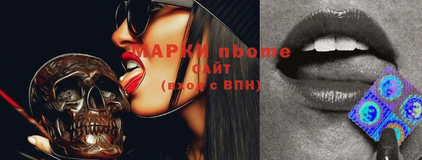 гашик Кинешма