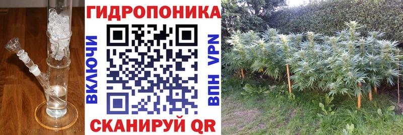 Каннабис White Widow Бабушкин
